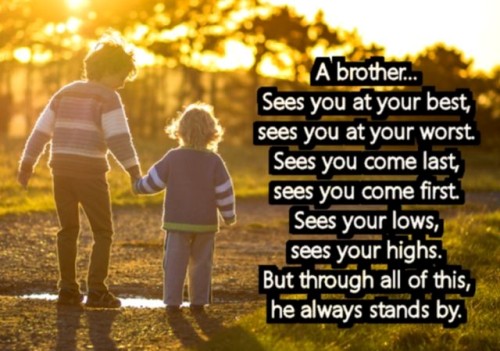 200+ Brother Quotes | Sibling Quotes For Your Cute Brother - Fresh Quotes