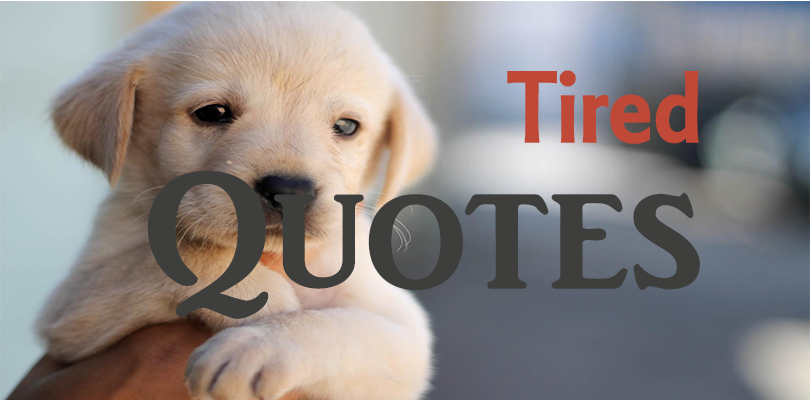 tired quotes