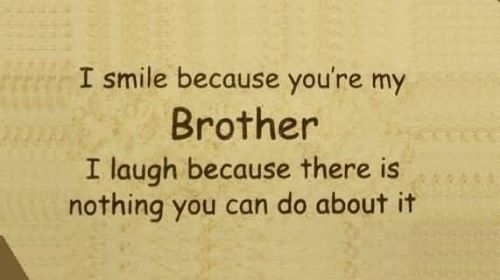 0 Brother Quotes Sibling Quotes For Your Cute Brother Fresh Quotes